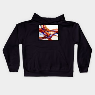 Primary Hues Stonescape Kids Hoodie